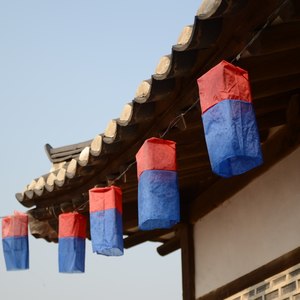桦