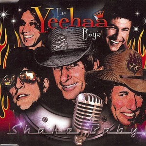 Shake Baby (do ya' stuff)