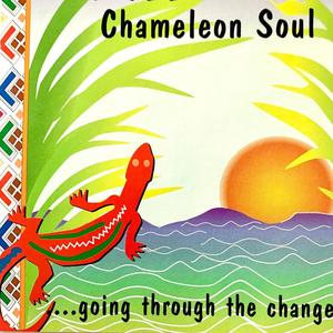 Chameleon Soul