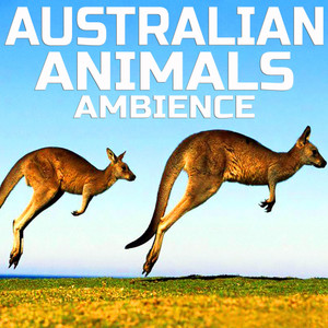 Australian Animals Ambience