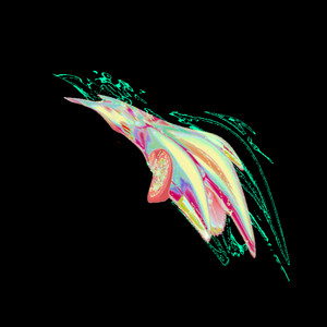 Subaton Authenticity Knife Gun