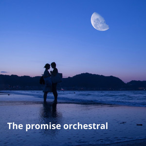 The Promise(Orchestral)