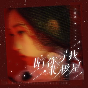 陪你寻找北极星