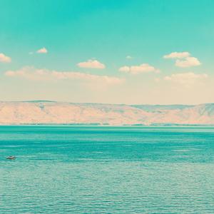 ארץ מים רבים (feat. Naftali Alter)