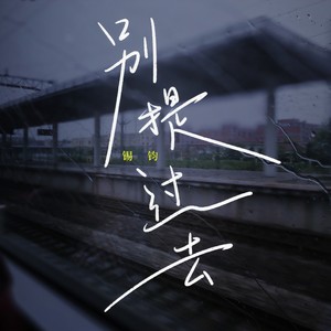 别提过去 (DJ九零版)