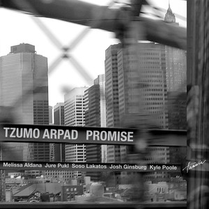 Promise