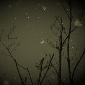 仲夏第一潜逃幻想 (prod.by Furyl,4_chords)