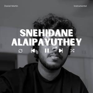 Snehidane (Instrumental)