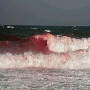 heart thinned (Explicit)