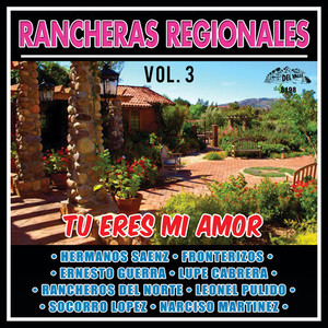 Tu Eres Mi Amor, Vol.3 (Rancheras Regionales Instrumental)