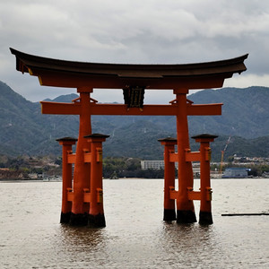 Torii