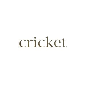 Foundations, Vol. 4 (Cricket)