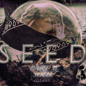 Soul (IDK) (Slow Version)