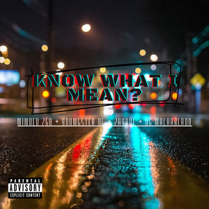 Know What I Mean? (Explicit)