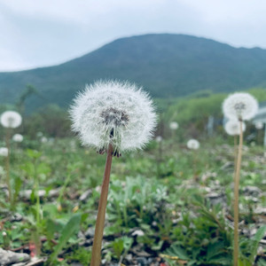 你一定要幸福 (Demo)