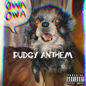 Owa Owa (Pudgy Anthem)