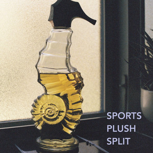 Remember Sports / Pllush Split