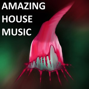 Amazing House Music