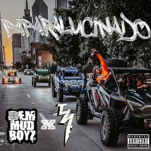 PAPARALUCINADO (feat. R.O.B & FROSS) (Explicit)