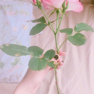 G.E.M.邓紫棋-再见 (R&B改编版|Yusee remix)