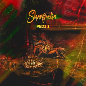 Shangoolia (Explicit)