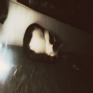 novacaine (Explicit)