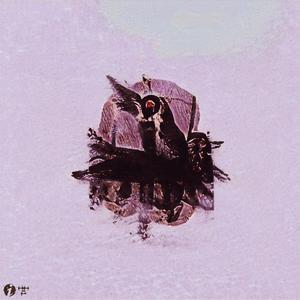 not forever(feat. Polygon Cove)