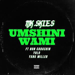 UMSHINI WAMI (feat. NON CABASHIN, YOLO & YXNG MILLER) (Explicit)