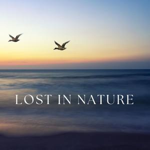 Lost in Nature