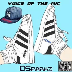 Voice Of The Mic (Explicit)