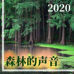 放松自然的声音