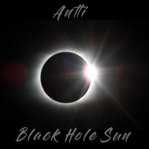 Black Hole Sun