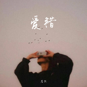 爱错（翻开回忆角落）-居然