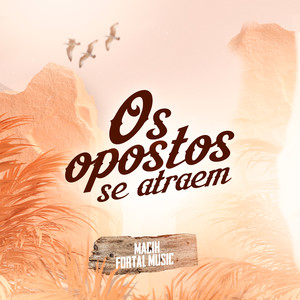 Os Opostos Se Atraem