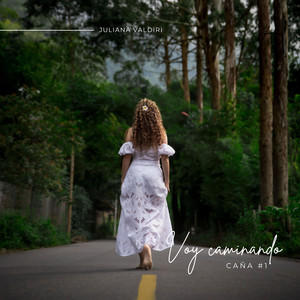Caña #1 - Voy Caminando