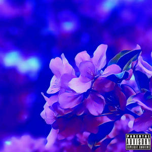 Another Late Night (feat. FINITE & prod BLegg) (Explicit)