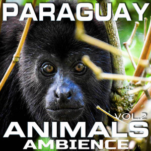 Paraguay Animals Ambience, Vol. 2