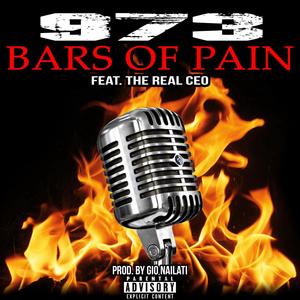973 - Bars Of Pain (feat. The Real CEO) (Explicit)