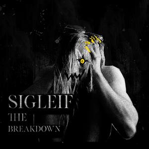 No More Heroes (feat. ToyBokz) (Explicit)