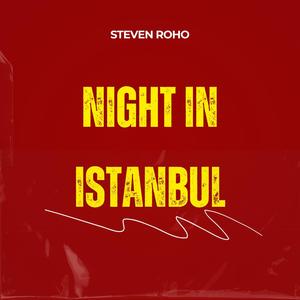 Night in Istanbul