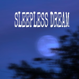 SLEEPLESS DREAM (Explicit)