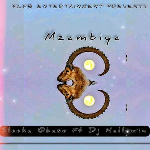 Mzambiya (feat. Dj Hallowin)