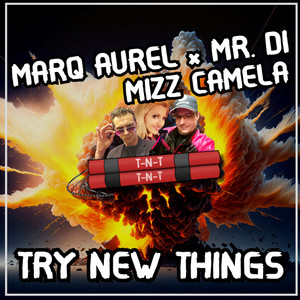 Try New Things (T-N-T HandsUp Mix)