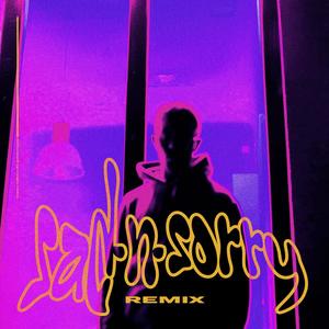 Sad´n Sorry (feat. nicht fanny) [Remix] [Explicit]