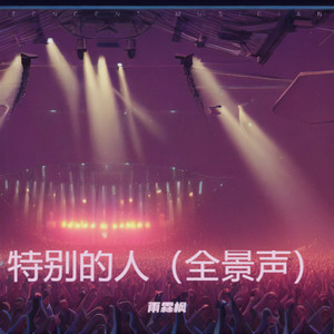 落了白-雨霖枫