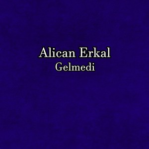 Gelmedi