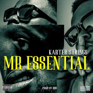 Mr Essential (Explicit)