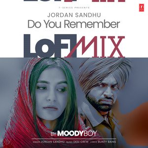 Do You Remember Lofi Mix