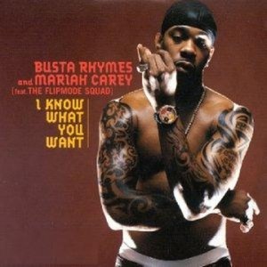 I Know What You Want (Album Version)