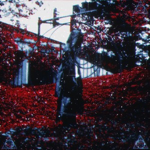 wiZZard REvoLUTion (Explicit)